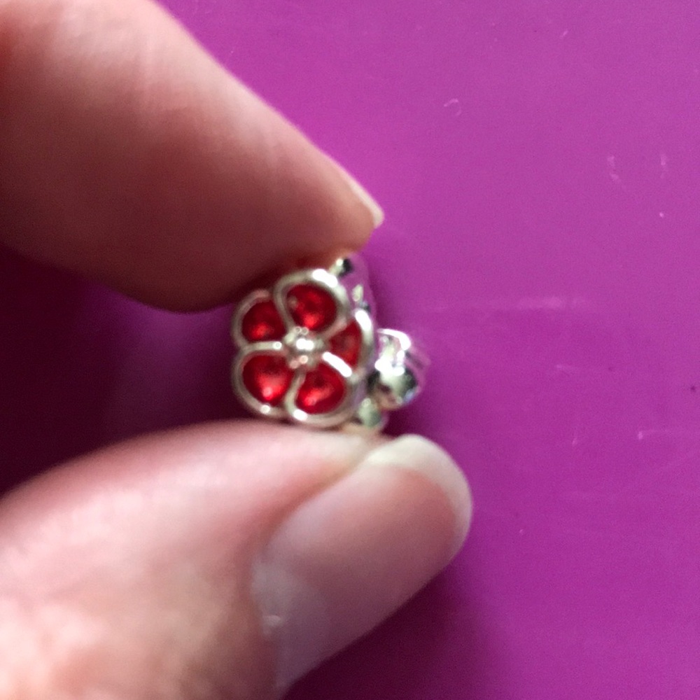 Charm Bundle - image 6